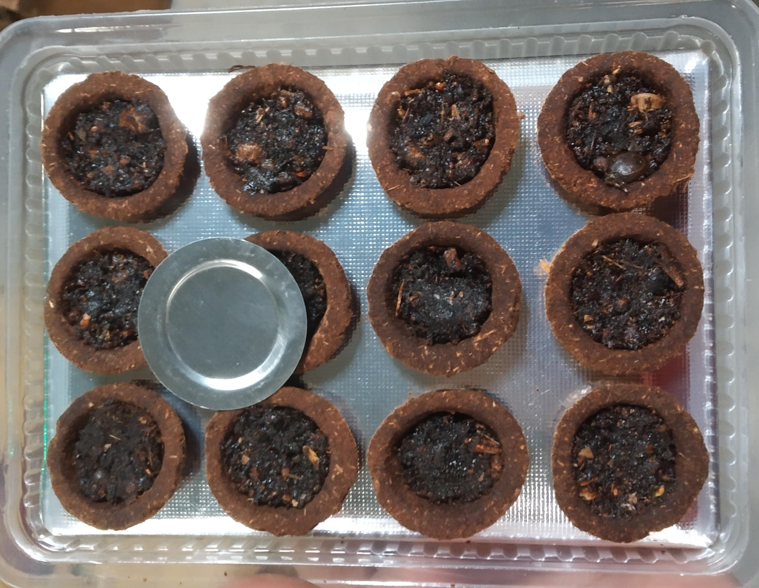sambrani dhuni cup suddh gau mata havan cup for pooja & meditation natural guggal sambrani dhuni cup suddh gau mata havan cup for pooja & meditation natural guggal
