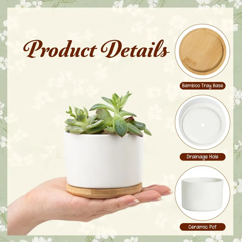 personalized memorial ceramic planter pot, “a beautiful soul is never forgotten”, custom name & dates,